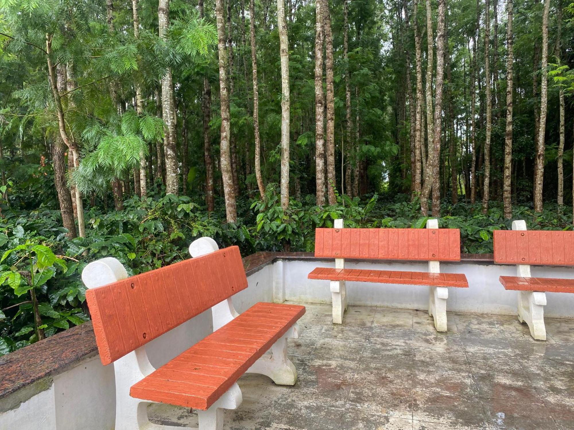 Bougain Villa Chikmagalur Luaran gambar